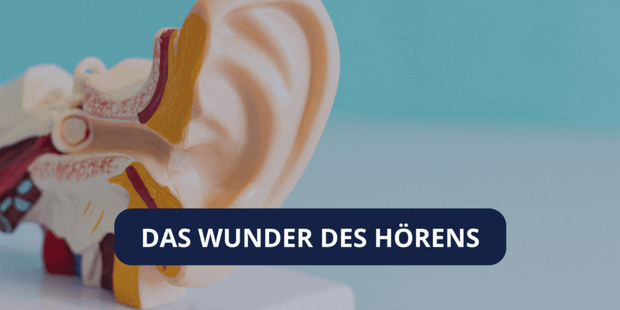 Das Wunder des Hörens Beitragsbild