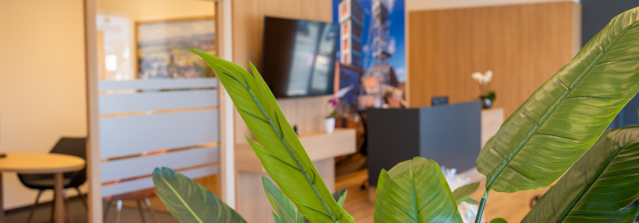 Hörgeräte Services in Sachsen