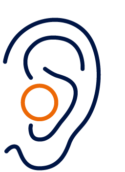 Modelle und Hersteller