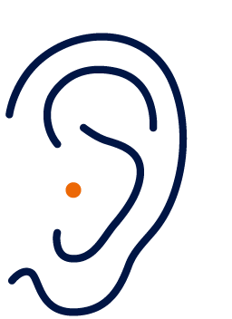 Modelle und Hersteller